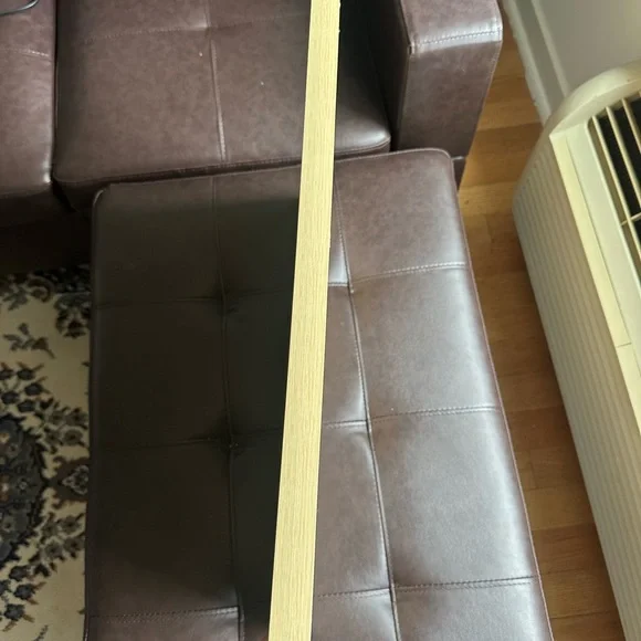 Botanical Framed Cactus Canvas Wall Art Decor - Picture 4 of 4